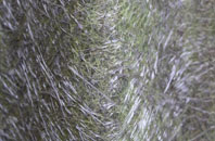 Lower Oddington fibreglass roof work